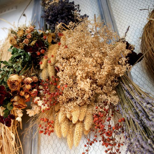 Flores preservadas COMPRAR FLORES ONLINE PLUS Flores preservadas COMPRAR FLORES ONLINE PLUS